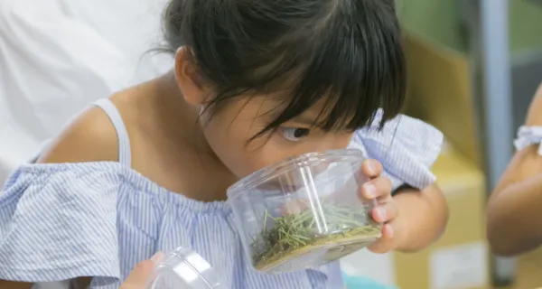 こどもプロジェクト